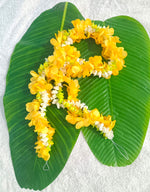 Lei Garland - Mixed